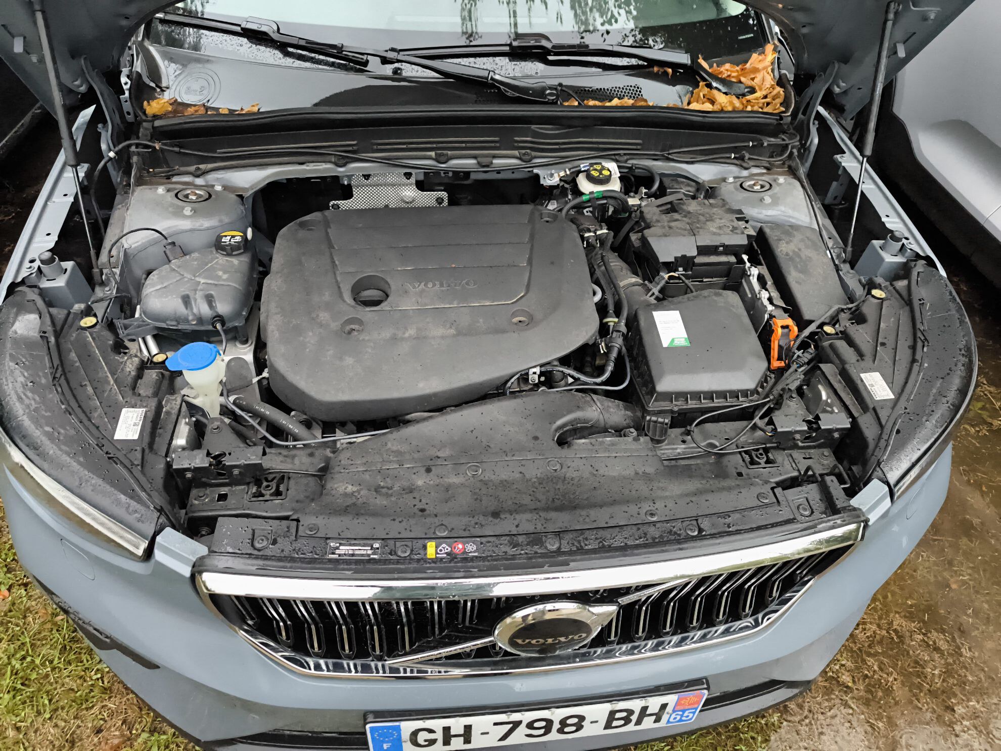 VOLVO XC40 B4 AWD 197 ch DCT7 Ultimate 2022