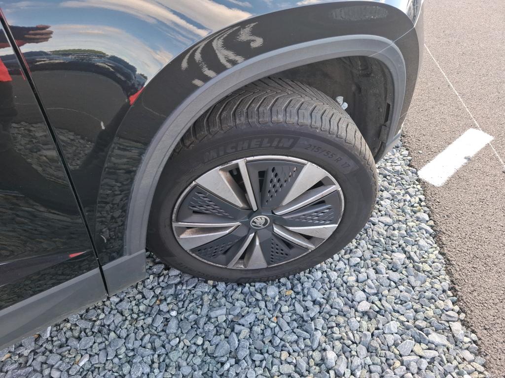 SKODA KAROQ 2.0 TDI 116 ch SCR DSG7 Business 2024