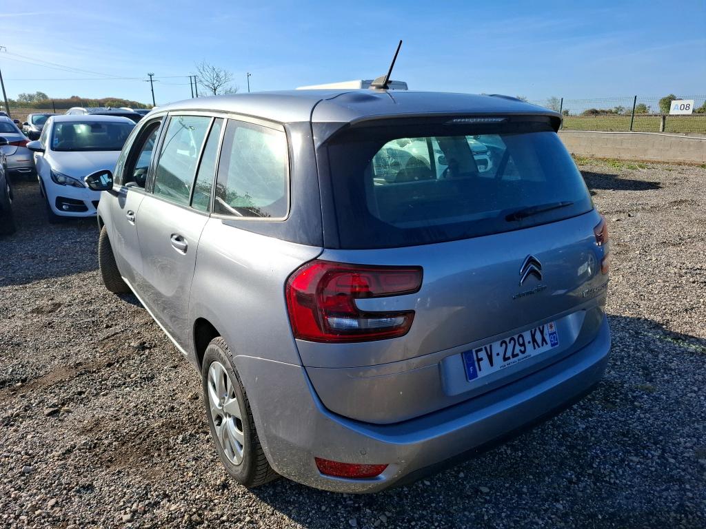 CITROEN C4 GRAND Spacetourer BlueHDi 130 S&S EAT8 Business 2020