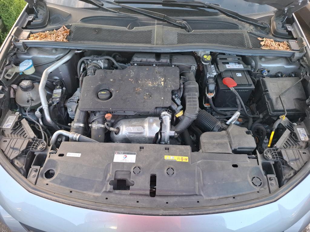 PEUGEOT 308 BlueHDi 130ch S&S EAT8 Active Pack 2023