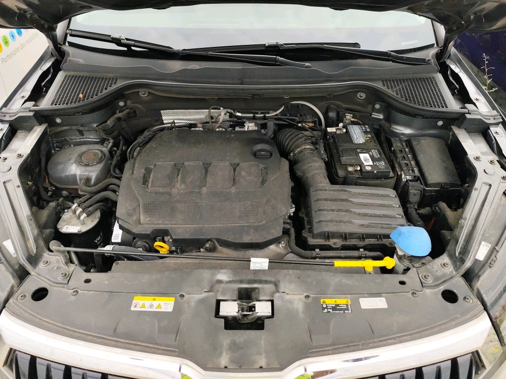 SKODA KAROQ 2.0 TDI 116 ch SCR DSG7 Business 2023