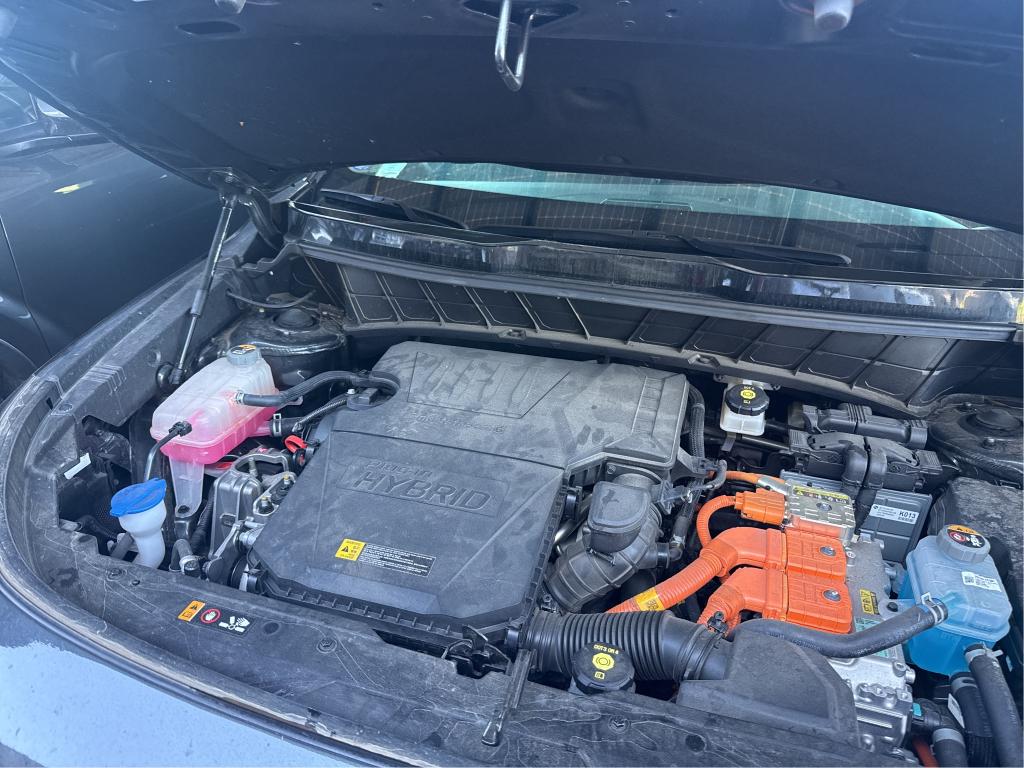 KIA NIRO 1.6 GDi 183 ch PHEV DCT6 Active 2022