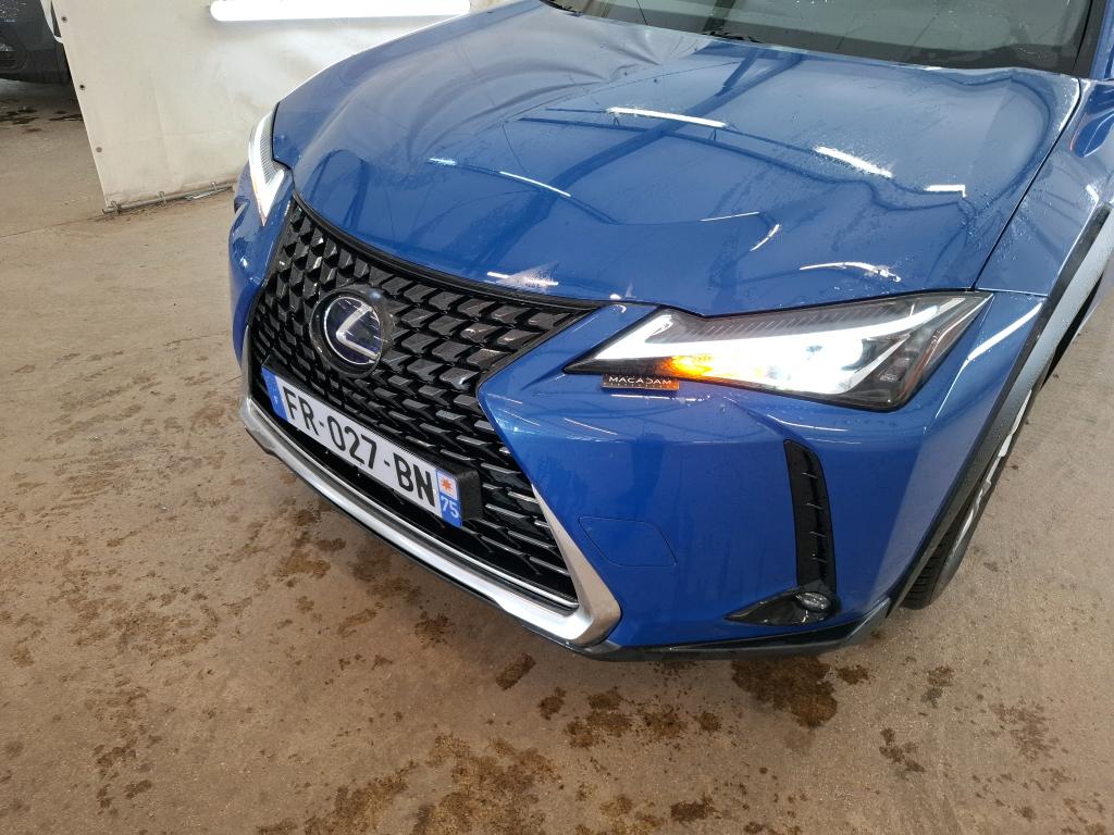 LEXUS  2020
