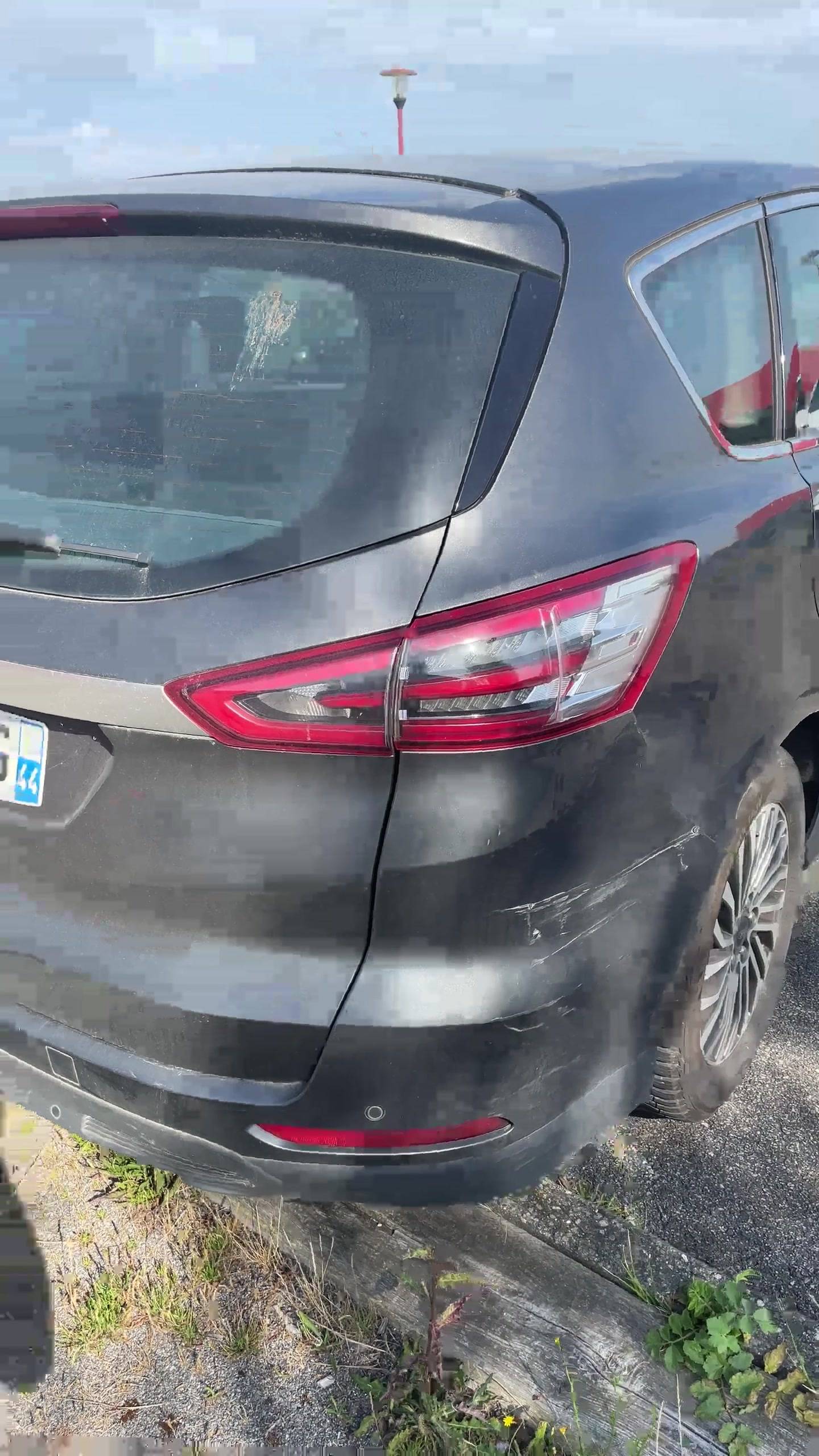 FORD S-MAX 2.0 EcoBlue 150 S&S Titanium Business Titanium Business 2019