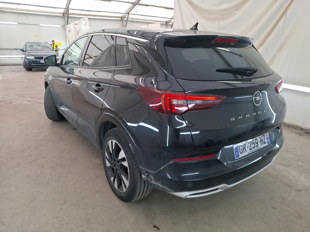 OPEL GRANDLAND 1.5 Diesel 130 ch BVA8 Elegance Business 2023