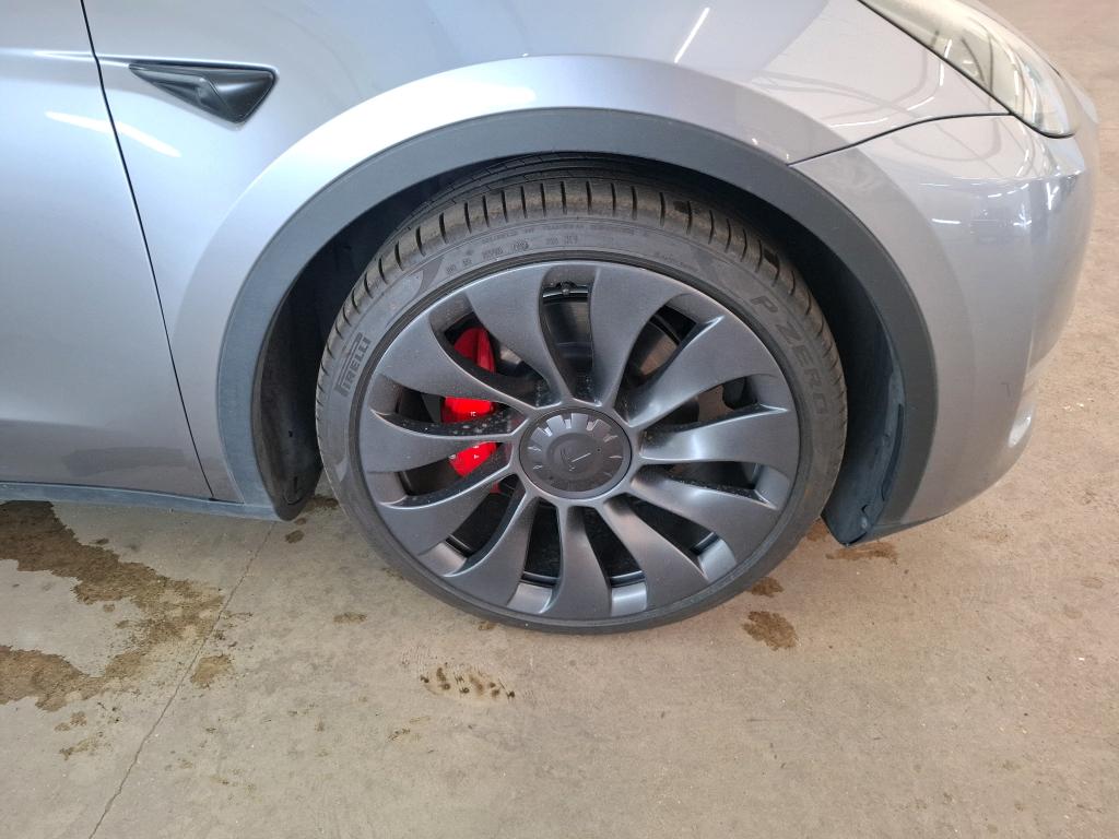 TESLA  2023