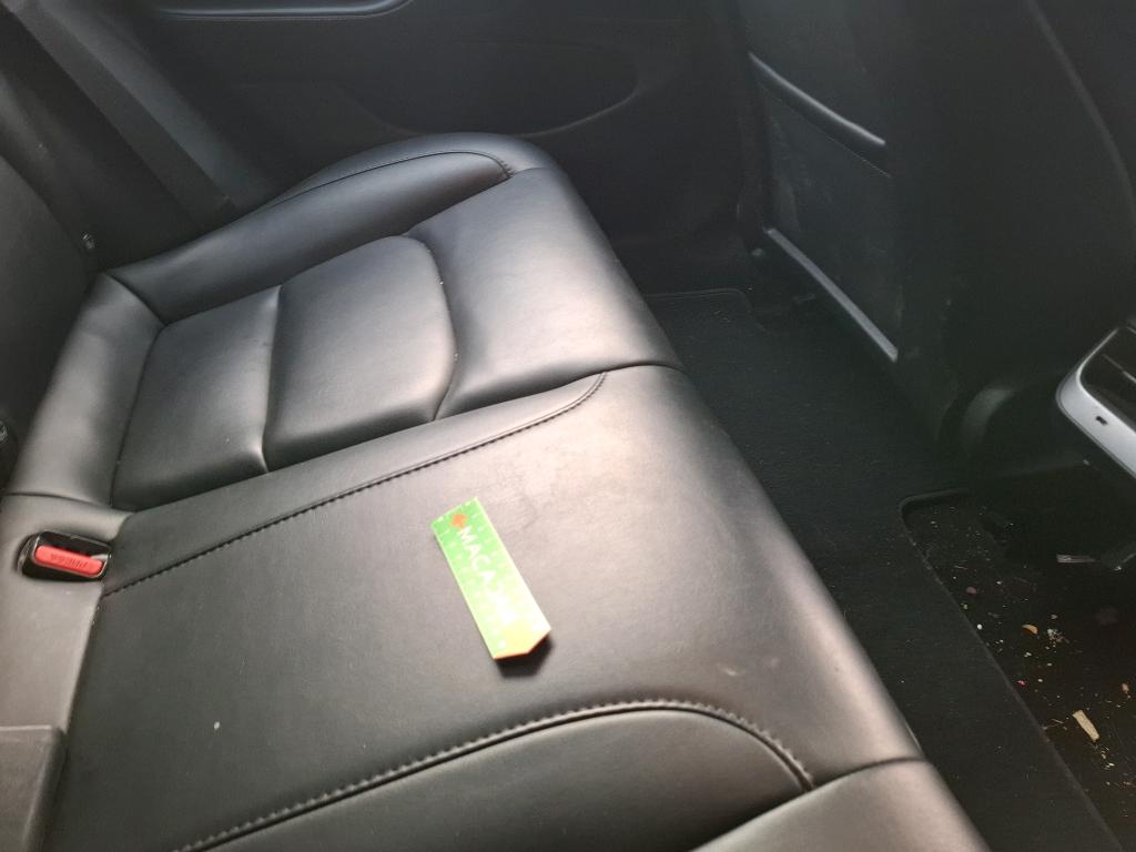 TESLA  2021