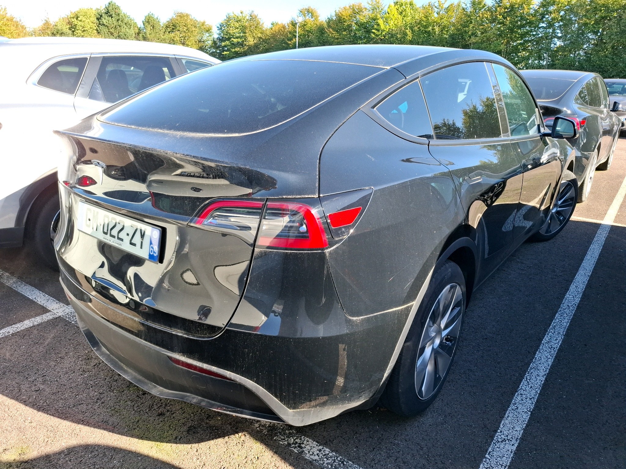 TESLA MODEL Y Standard RWD 2023