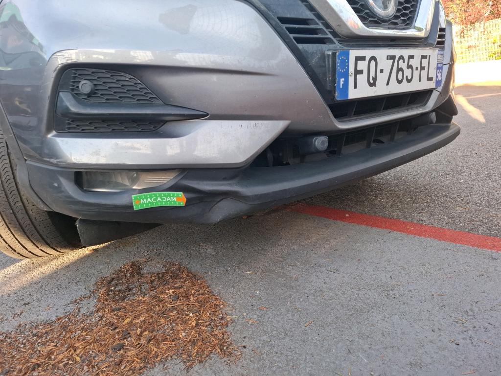 NISSAN QASHQAI 2019 EVAPO 1.5 dCi 115 DCT Business Edition 2020