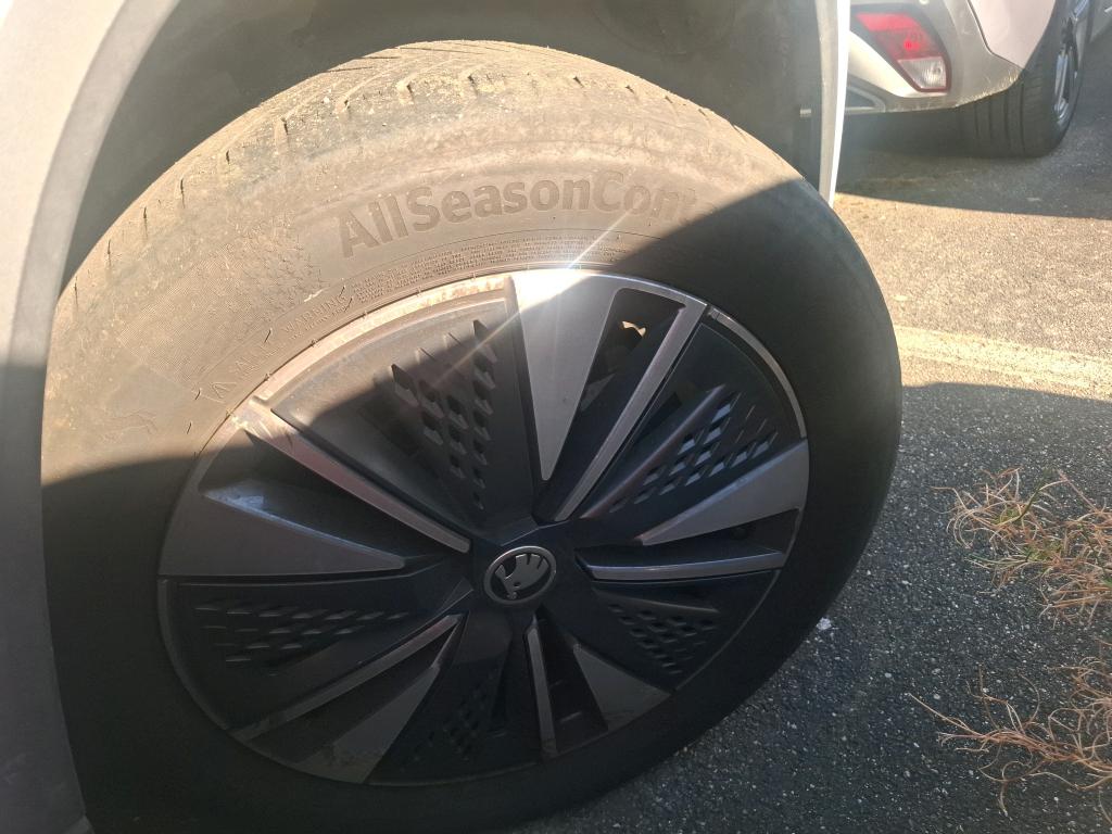 SKODA KAROQ 2.0 TDI 116 ch SCR Business 2022