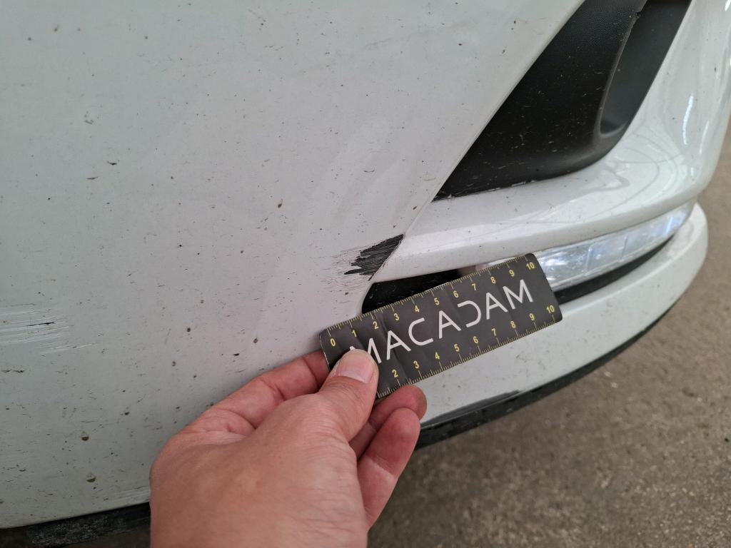 RENAULT CLIO SOCIETE DCI 75 ENERGY E6C AIR MEDIANAV 2019