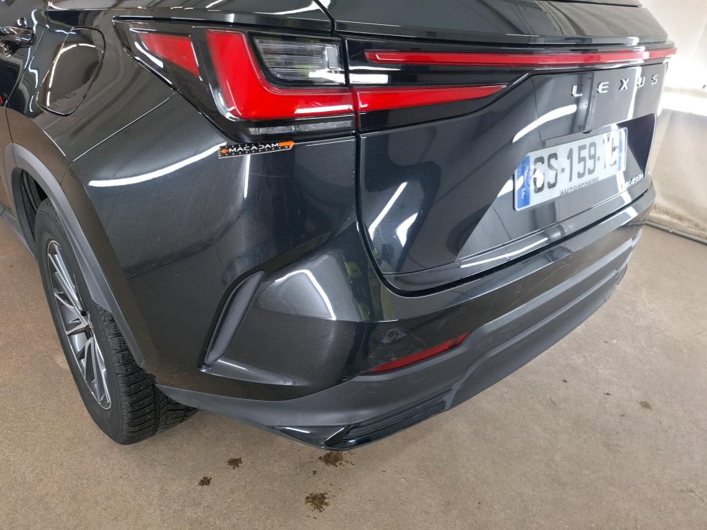 LEXUS  2023