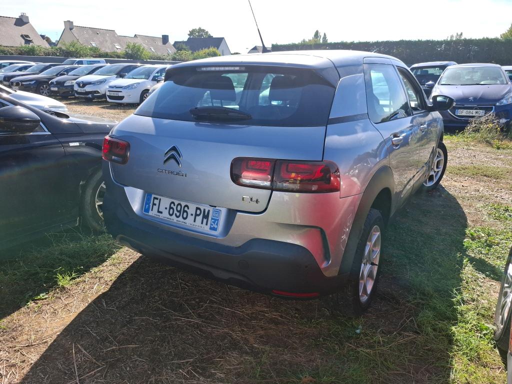 CITROEN C4 CACTUS PureTech 110 S&S BVM6 Feel Business 2019