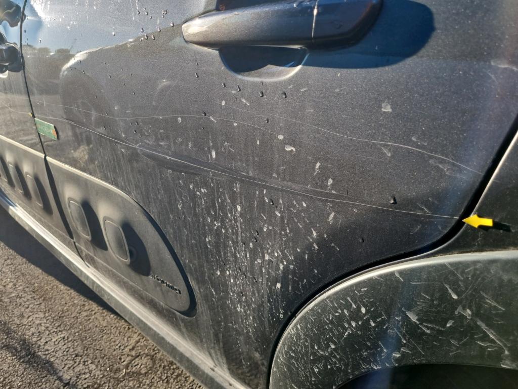 CITROEN C3 BUSINESS PureTech 82 S&S BVM5 Shine 2019
