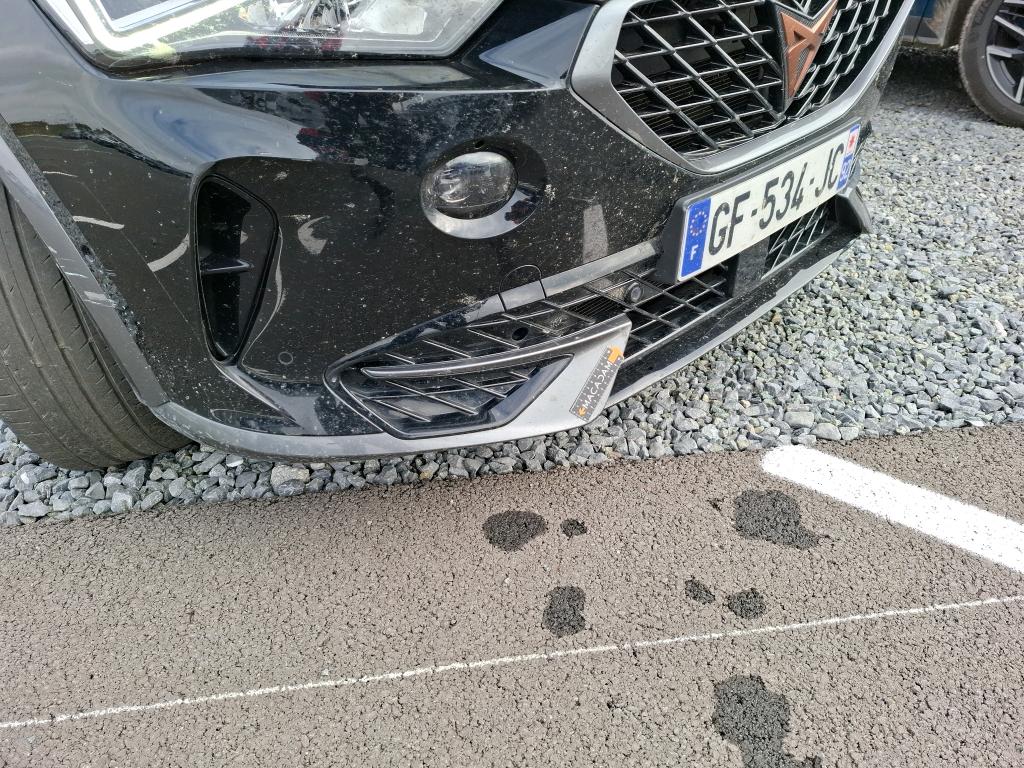 CUPRA FORMENTOR 2.0 TDI 150 ch DSG7 4Drive Business Edition 2022