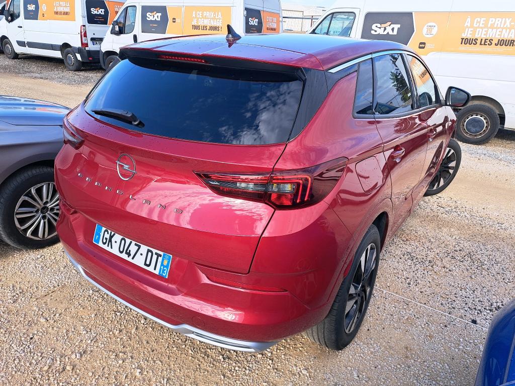 OPEL GRANDLAND 1.5 Diesel 130 ch BVA8 Elegance Business 2022