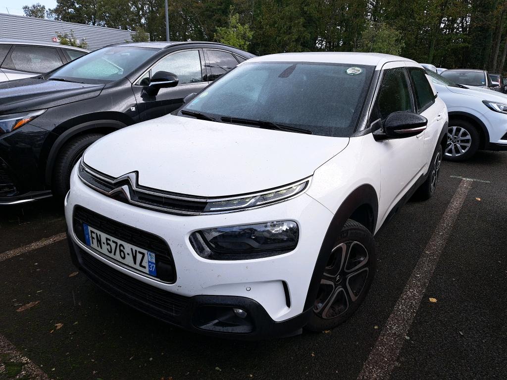 C4 CACTUS