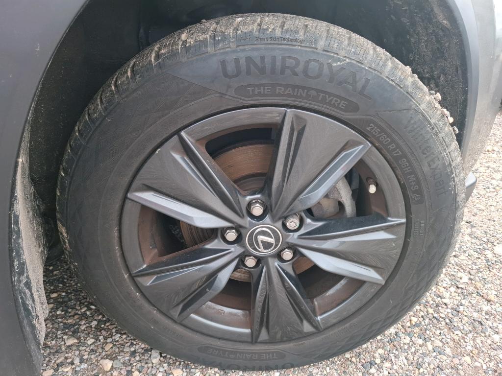 LEXUS  2019