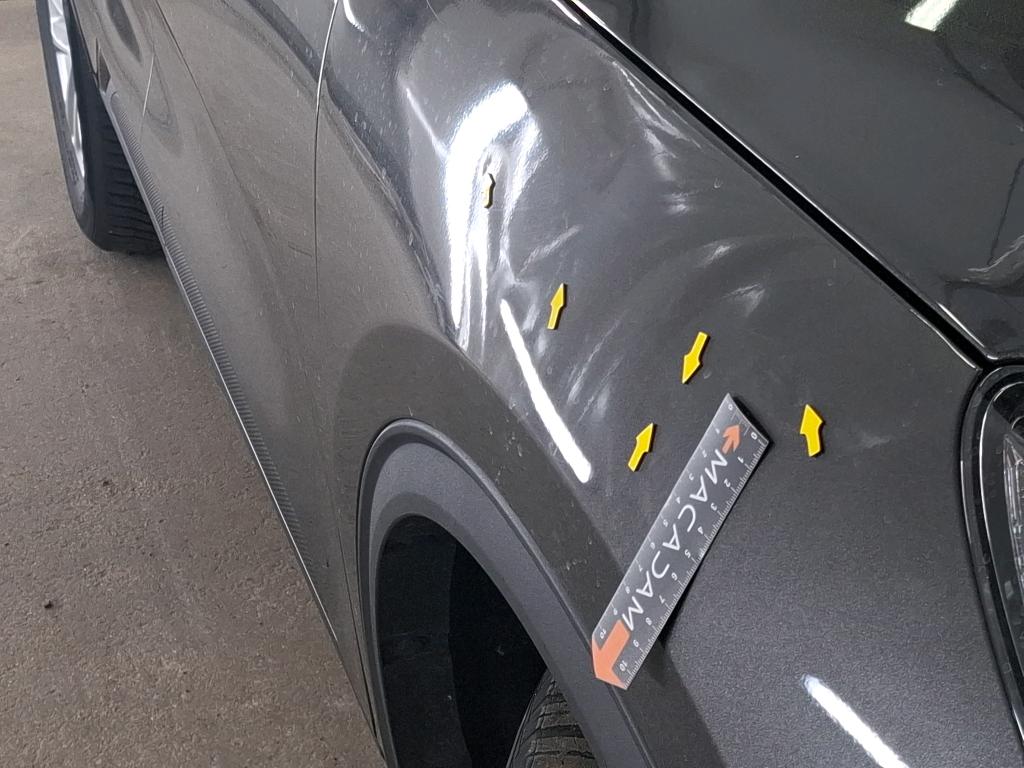 FORD KUGA 1.5 EcoBlue 120 Powershift Titanium 2022