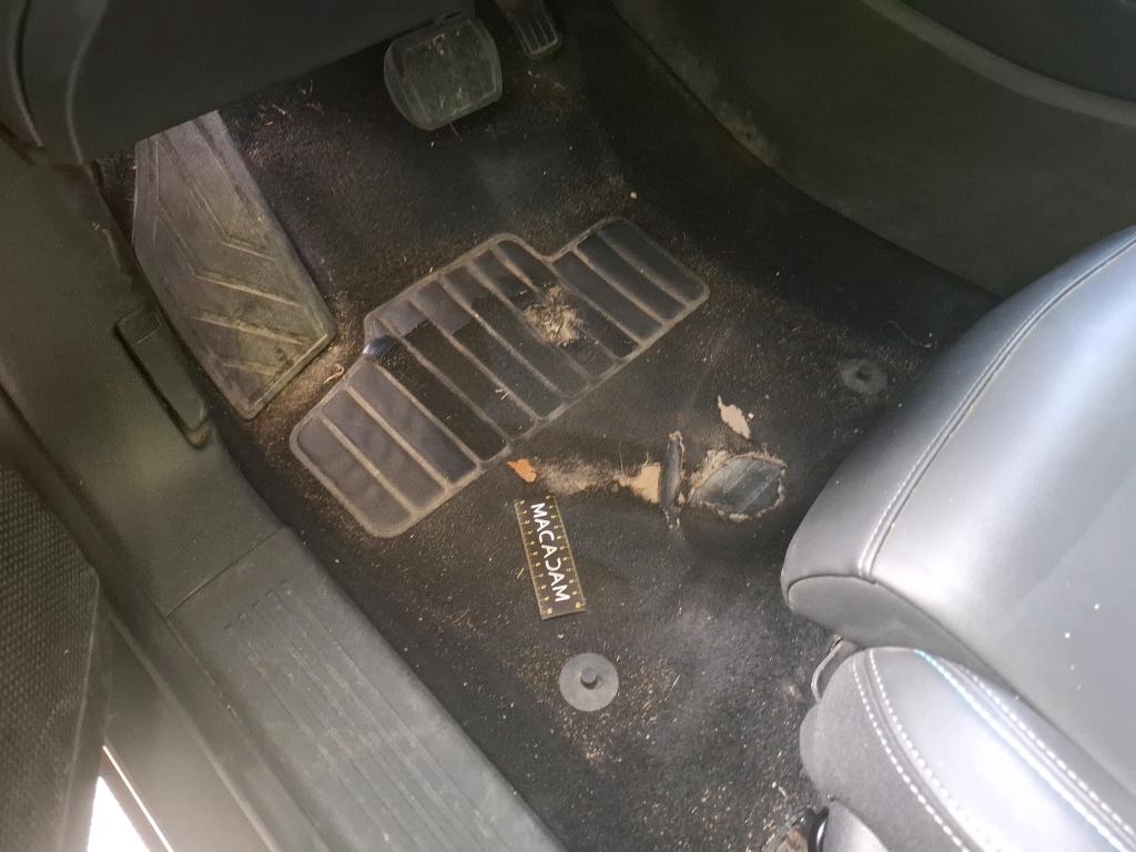 PEUGEOT 408 Hybrid 136 e-DCS6 Allure 2024