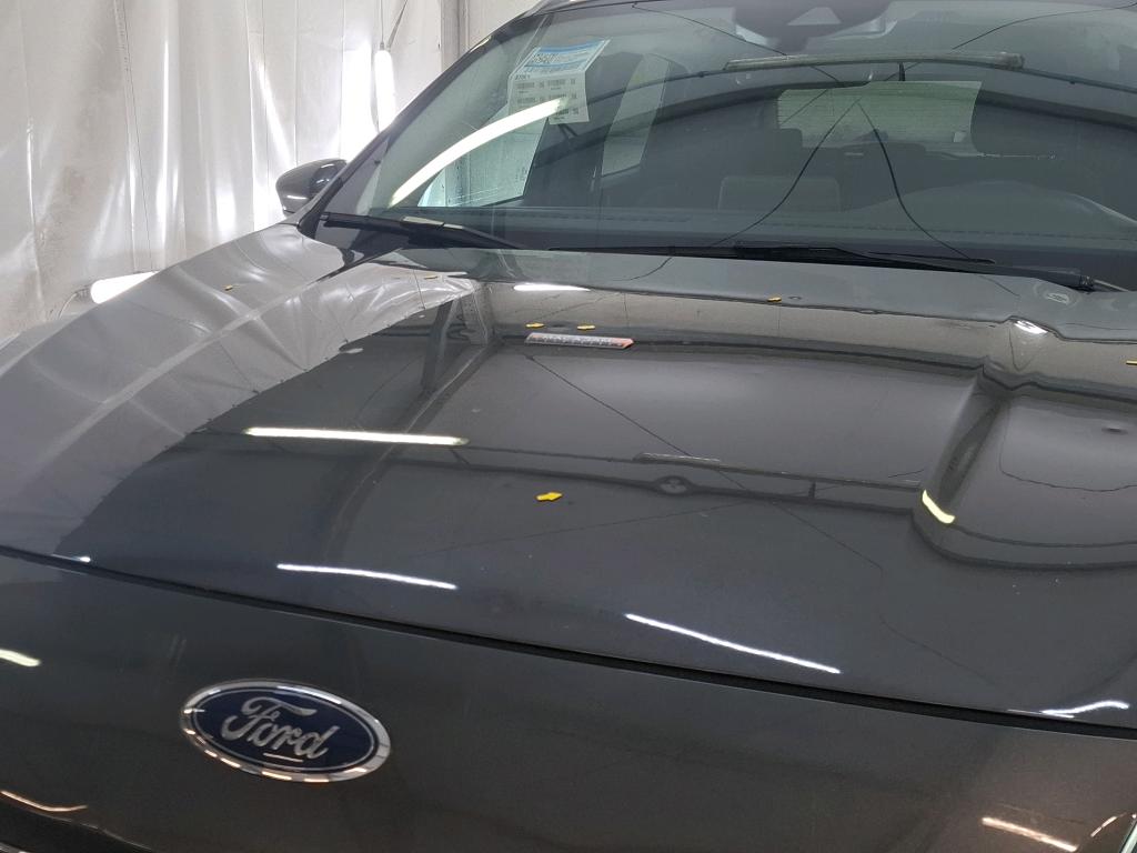 FORD KUGA 1.5 EcoBlue 120 Powershift Titanium 2022