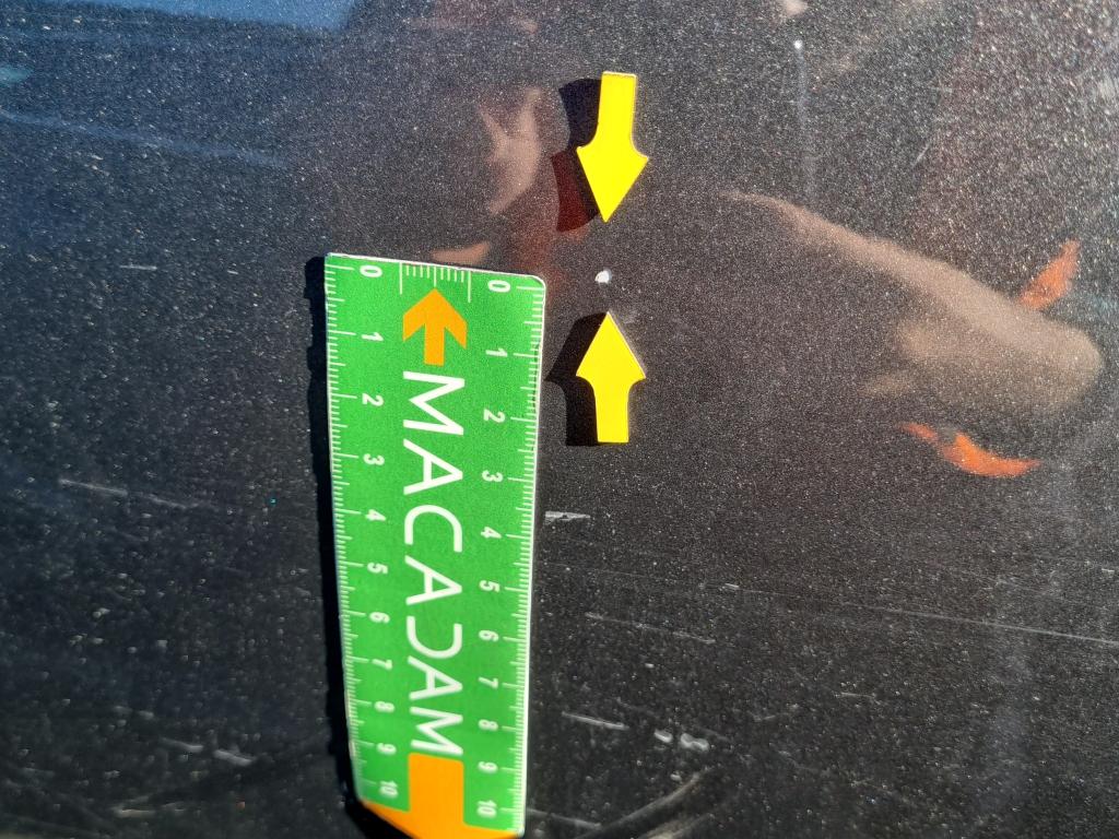 CITROEN C3 BUSINESS PureTech 82 S&S BVM5 Shine 2019