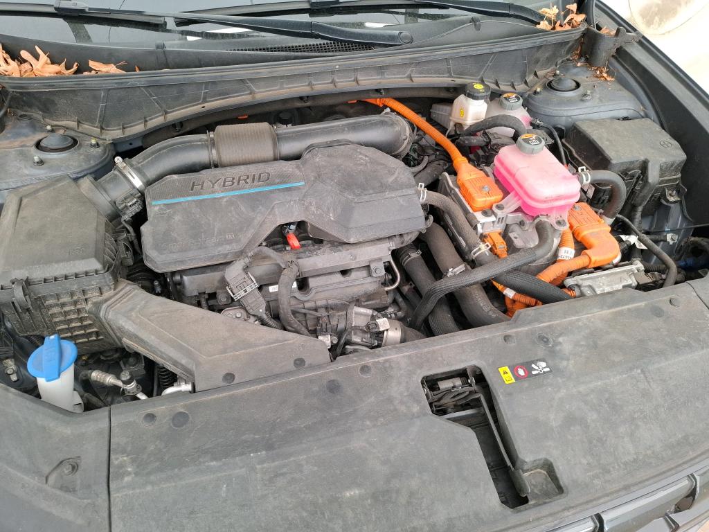 HYUNDAI TUCSON 1.6 T-GDI 230 Hybrid BVA6 Business 2023