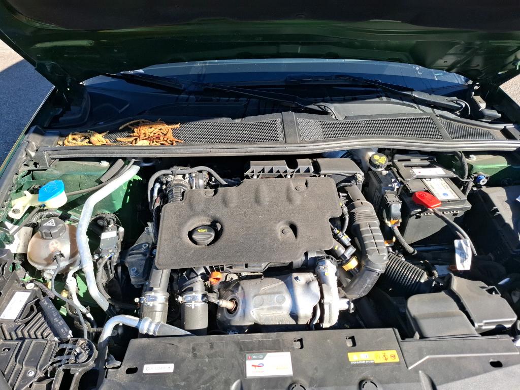 PEUGEOT 308 BlueHDi 130ch S&S EAT8 Active Pack 2024