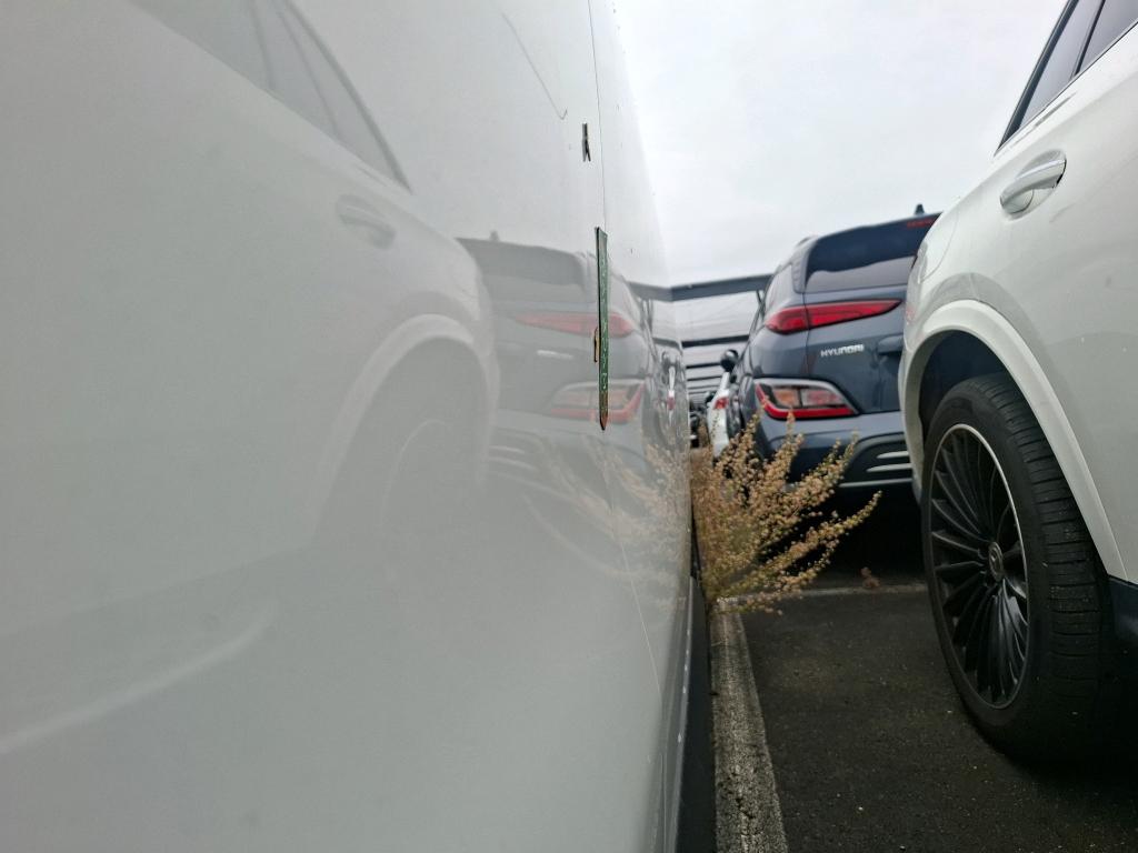 PEUGEOT EXPERT FOURGON FGN TOLE STANDARD 1.5 BLUEHDI 120 S&S BVM6 PREMIUM 2022