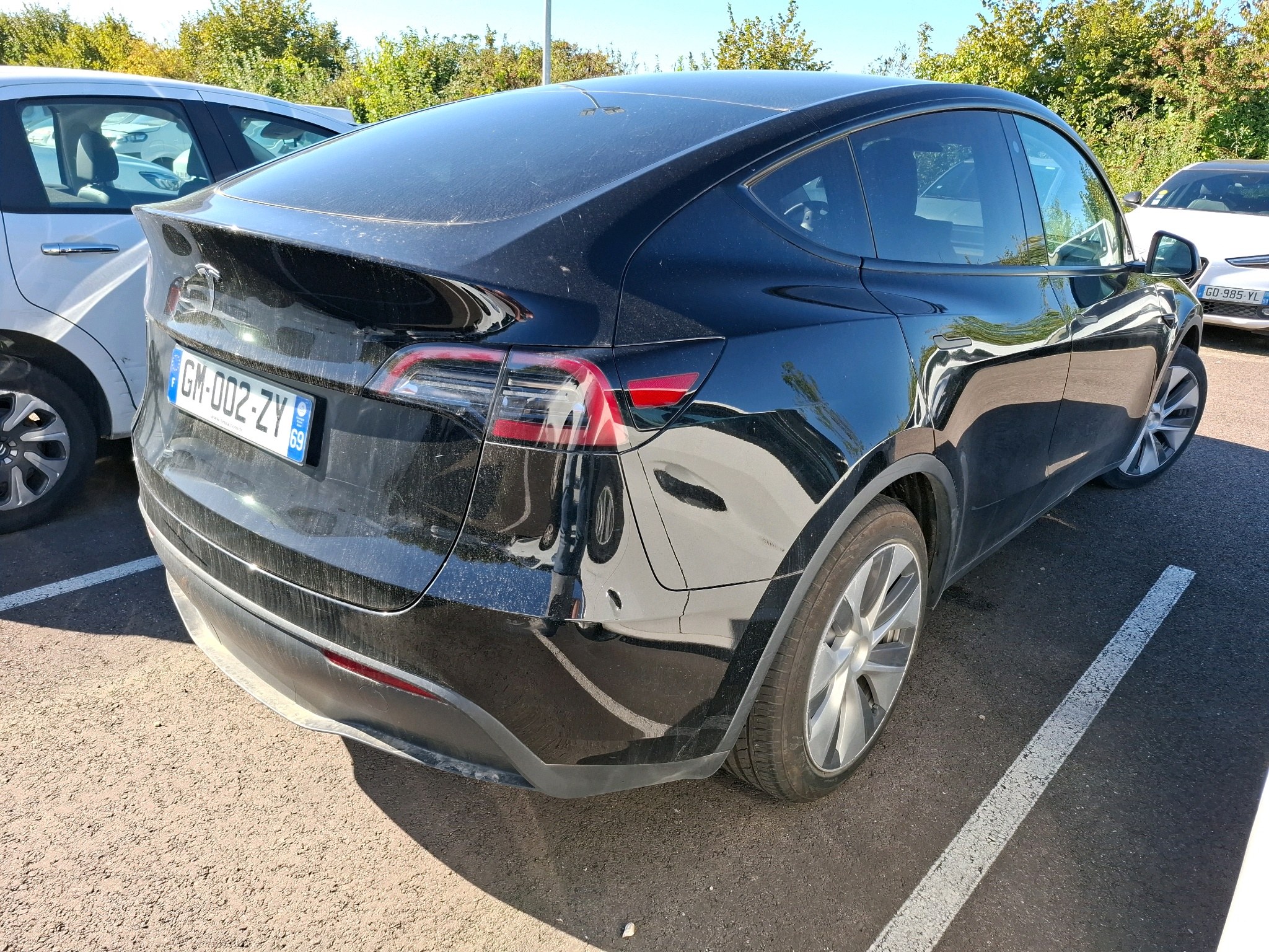 TESLA MODEL Y Standard RWD 2023
