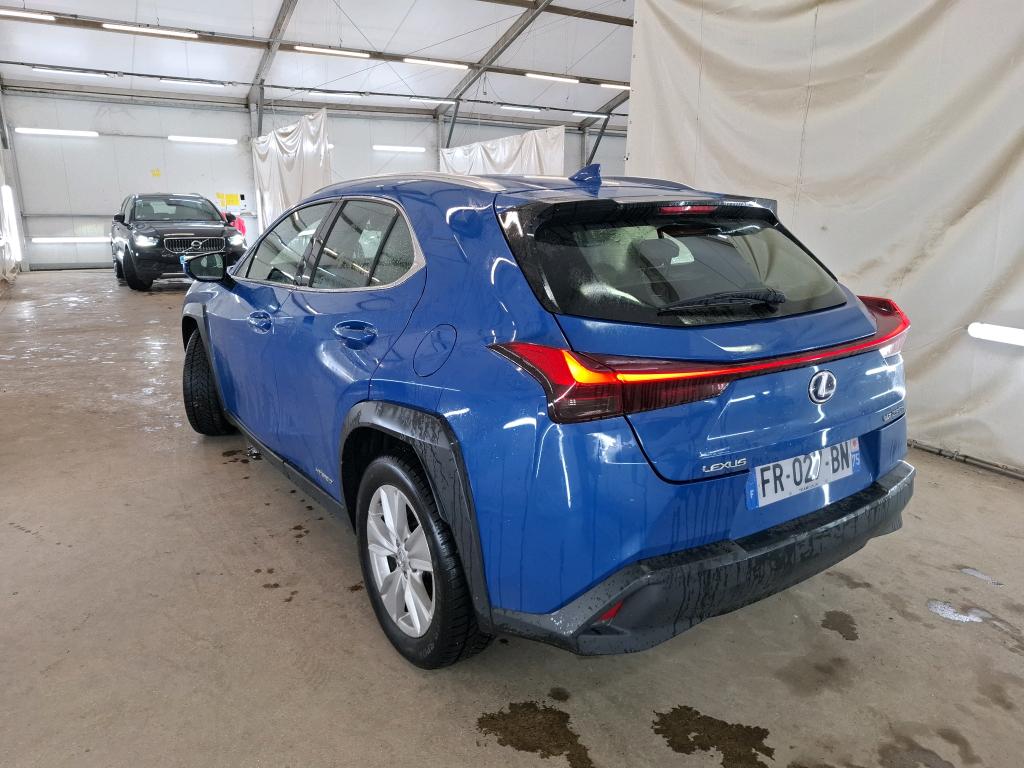 LEXUS  2020
