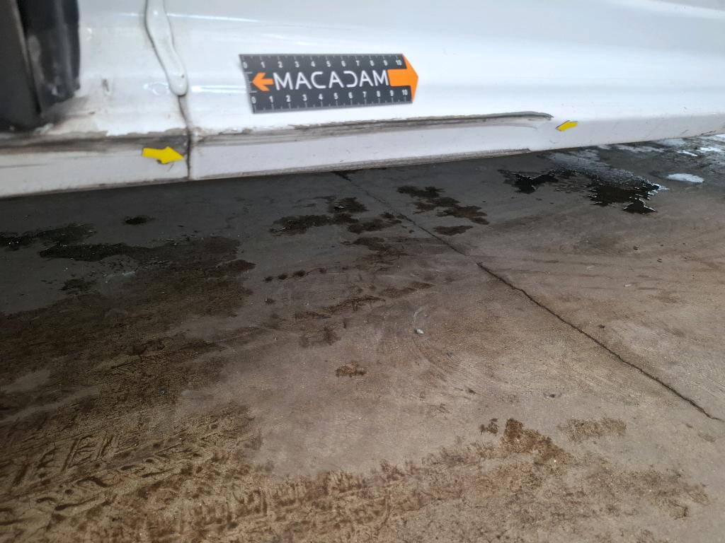 PEUGEOT EXPERT FOURGON FGN TOLE STANDARD BLUEHDI 95 BVM5 PREMIUM 2019