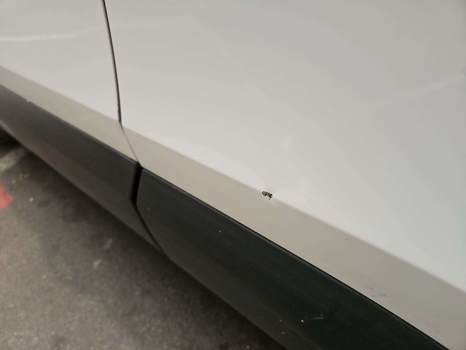 CITROEN C4 SOCIETE PURETECH 100 S&S BVM6 LIVE PACK BUSINESS R 2024