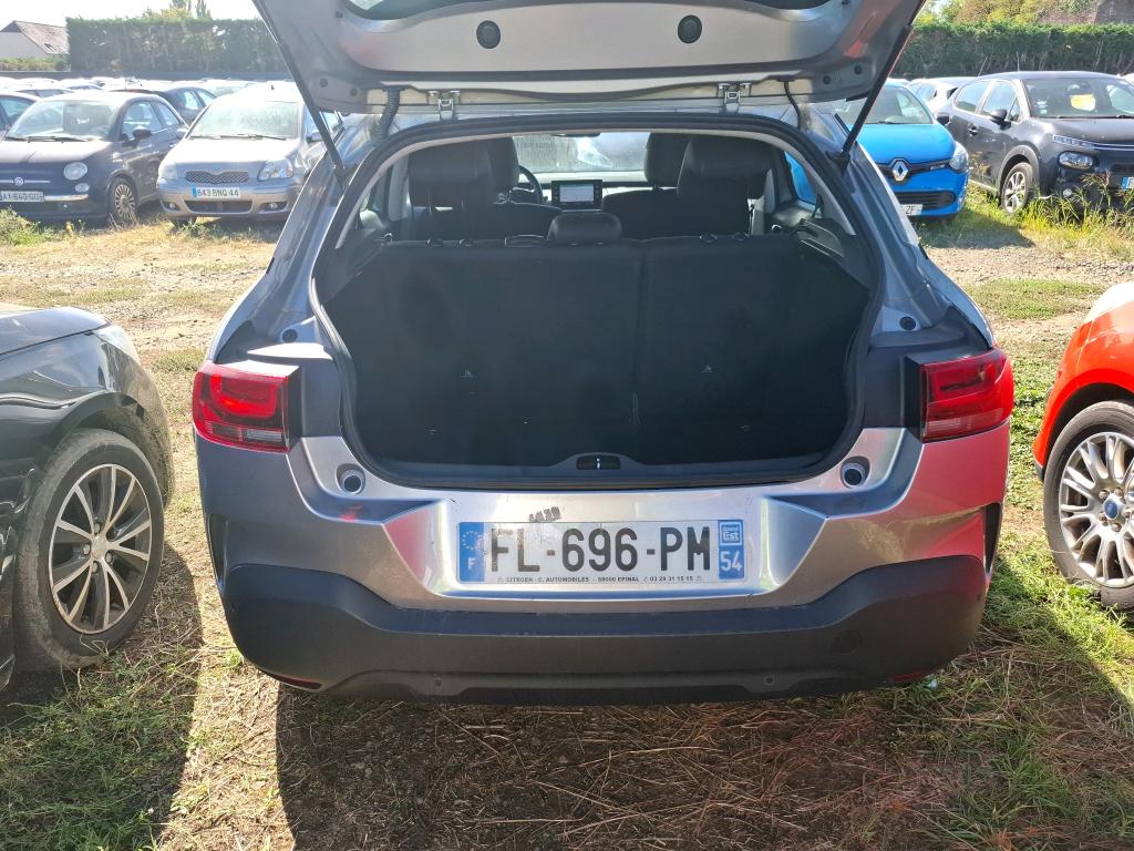 CITROEN C4 CACTUS PureTech 110 S&S BVM6 Feel Business 2019