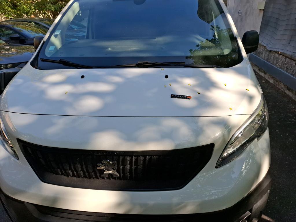 PEUGEOT EXPERT FOURGON FGN TOLE STANDARD 1.5 BLUEHDI 120 S&S BVM6 ASPHALT 2021