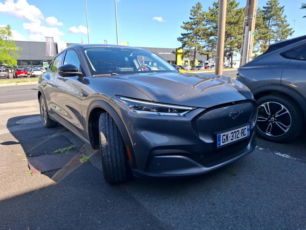 FORD MUSTANG MACH-E Standard Range 72,6 kWh 269 ch - 2024