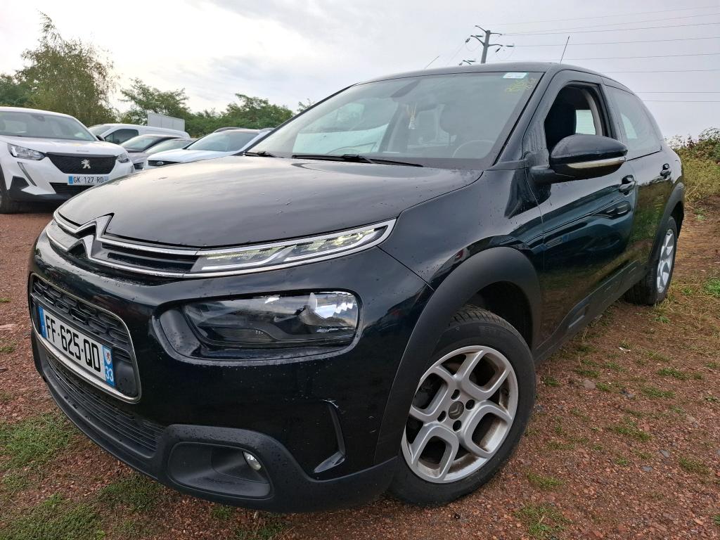 C4 CACTUS