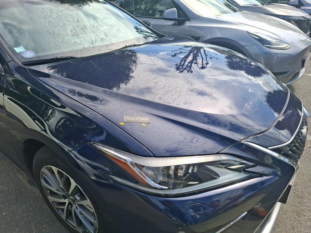 LEXUS  2022