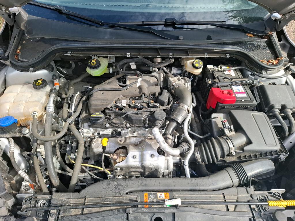FORD FOCUS SW 1.5 EcoBlue 120 S&S BVA8 Active X 2022