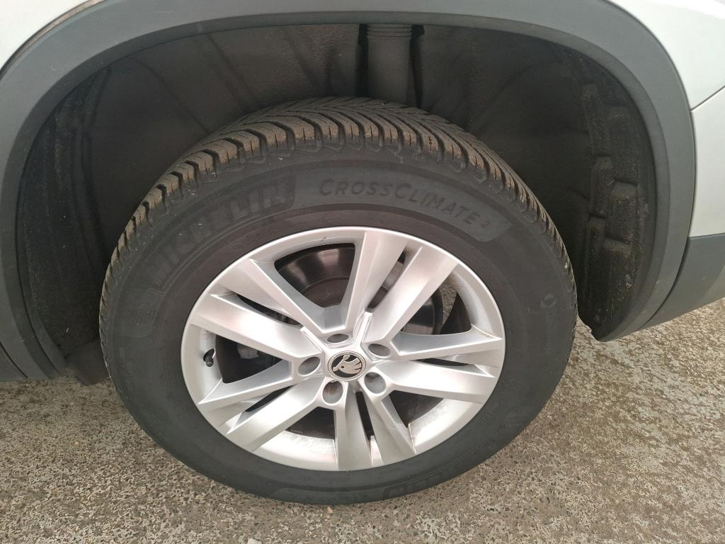 SKODA KODIAQ 2.0 TDI 150 SCR DSG7 5pl Business 2022