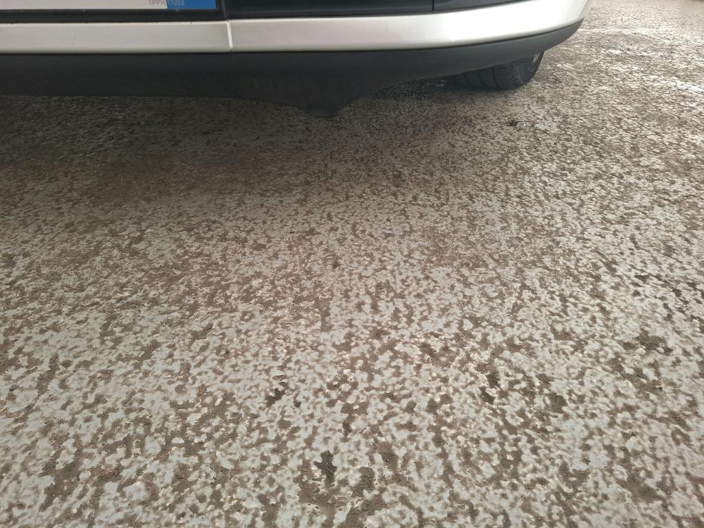 RENAULT CLIO IV BUSINESS TCe 90 E6C 2019