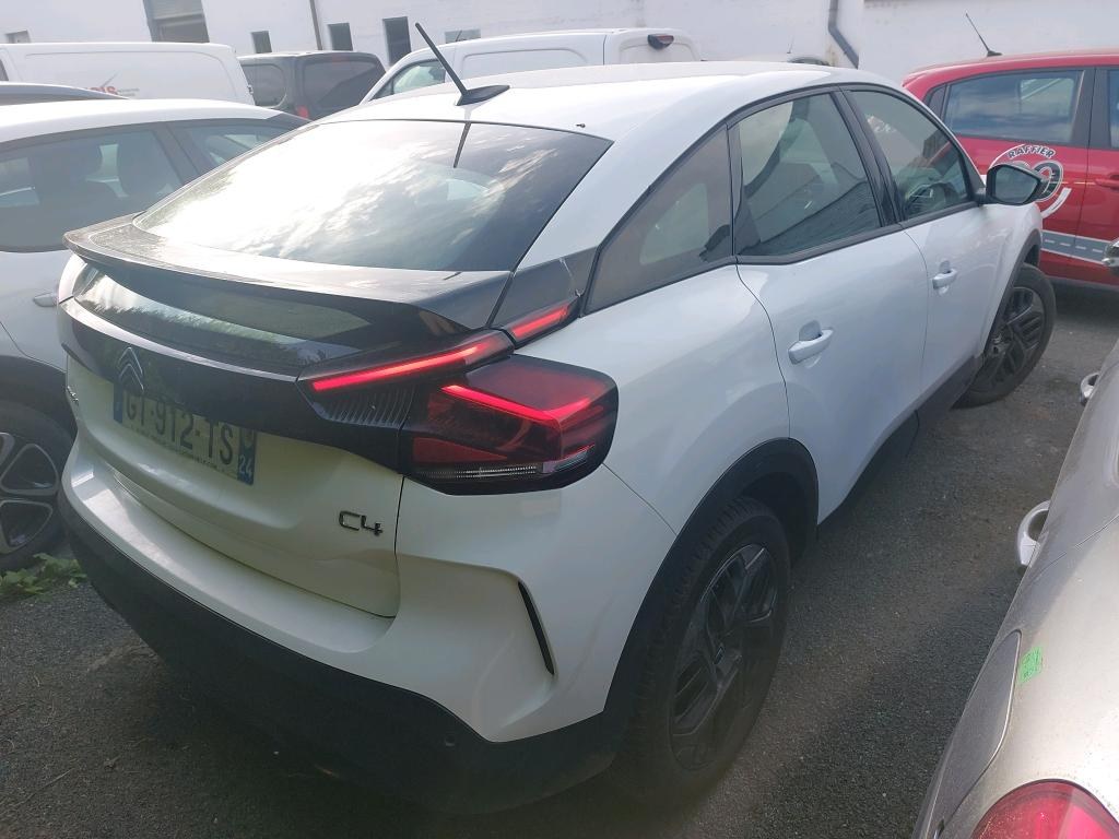 CITROEN C4 BlueHDi 130 EAT8 Plus 2024