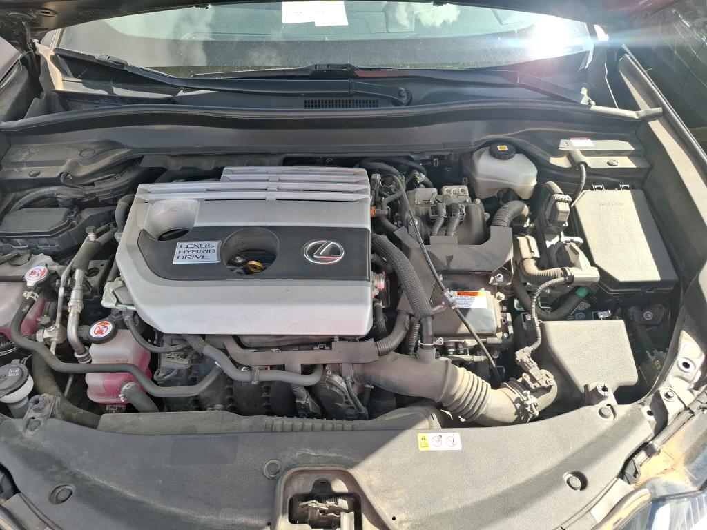LEXUS  2022