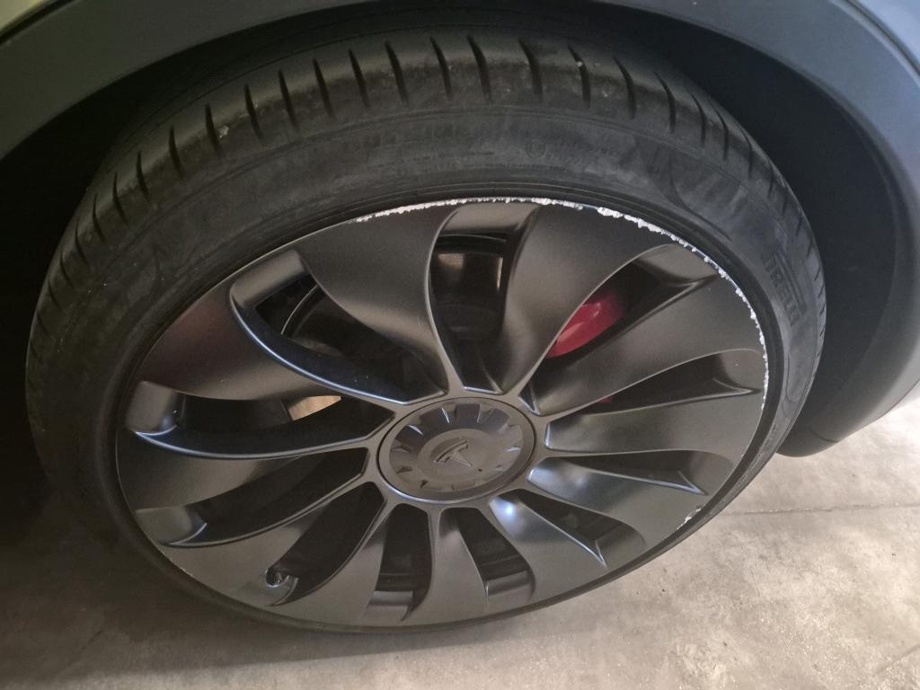 TESLA MODEL Y Performance Dual Motor AWD 2023