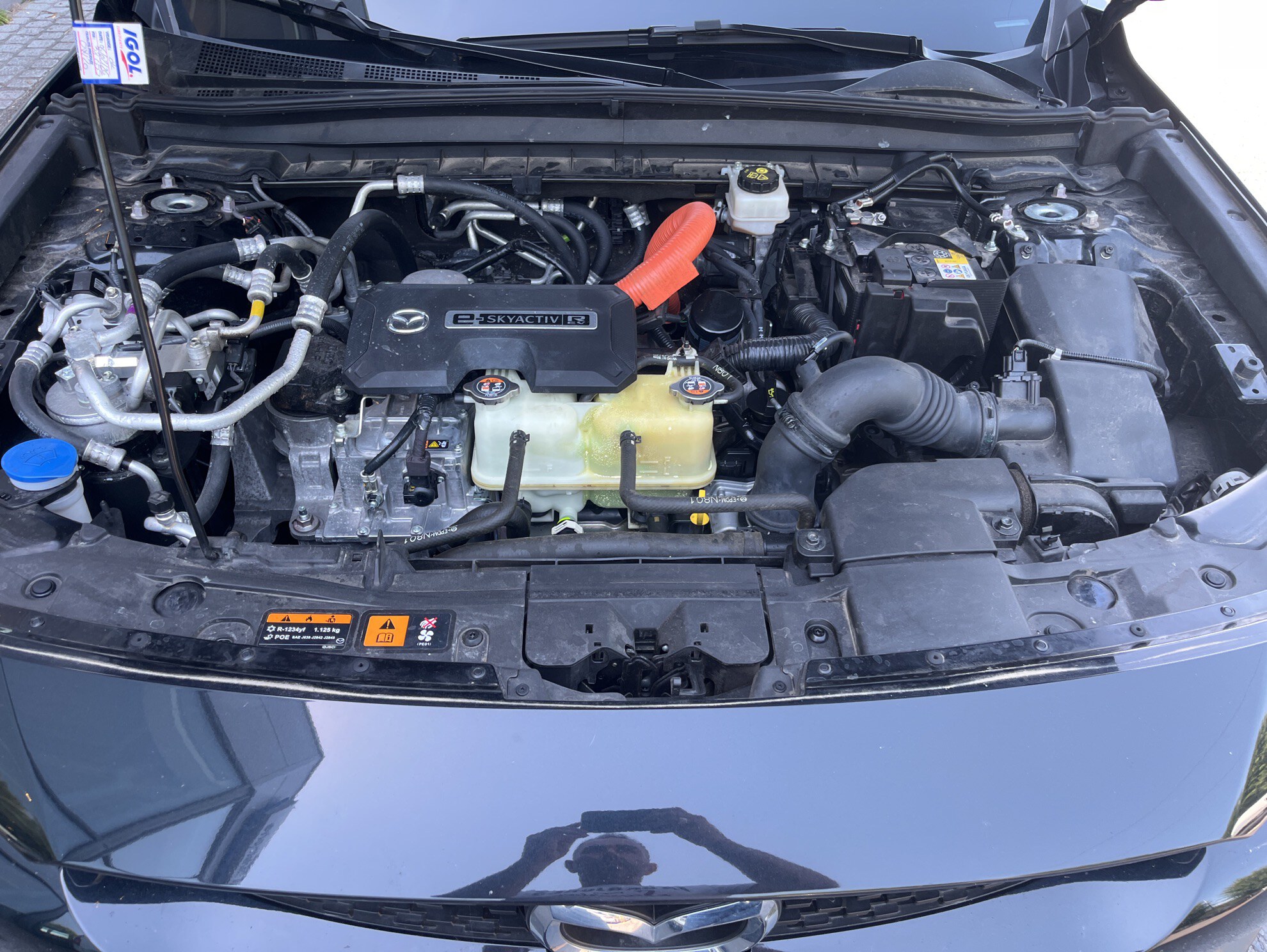 MAZDA MX-30 R-EV e-Skyactiv 170 ch BVA Edition R 2024