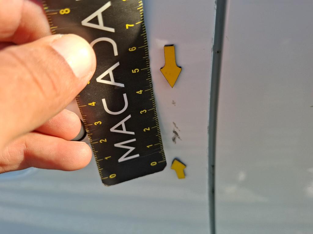CITROEN C3 PureTech 83 S&S BVM5 Feel Business 2021
