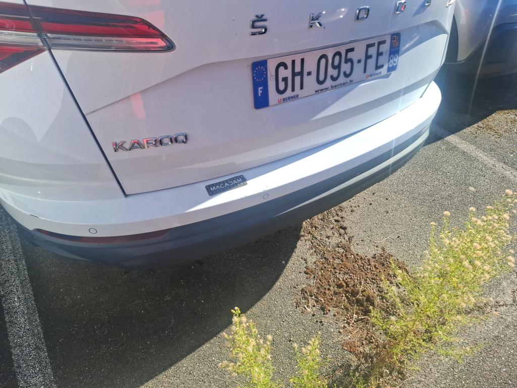 SKODA KAROQ 2.0 TDI 116 ch SCR Business 2022