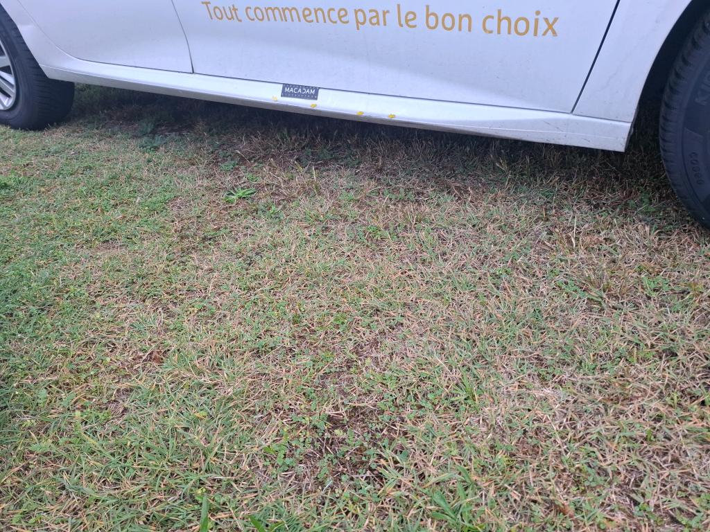 PEUGEOT 208 AFFAIRE PURETECH 75 S&S BVM5 PREMIUM 2022