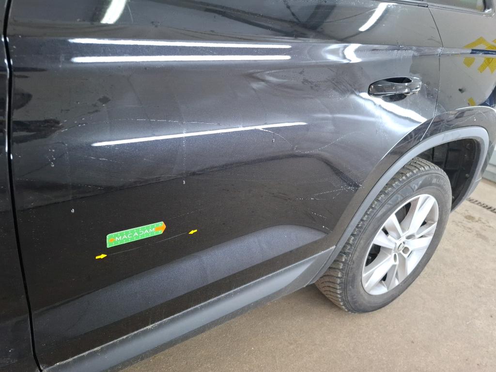 SKODA KODIAQ 2.0 TDI 150 SCR DSG7 5pl Business 2023