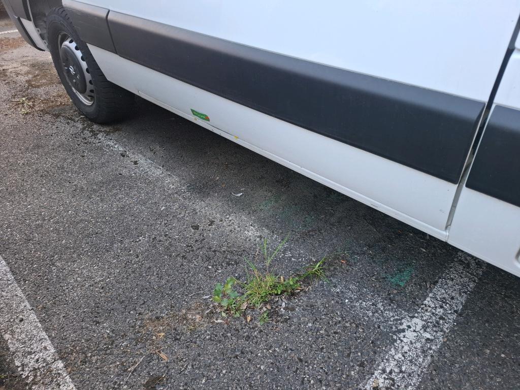 OPEL MOVANO FOURGON F3300 L2H2 135 CH BITURBO - 2020